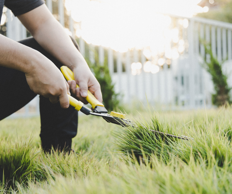 Person using a manual grass cutter in a backyard garden