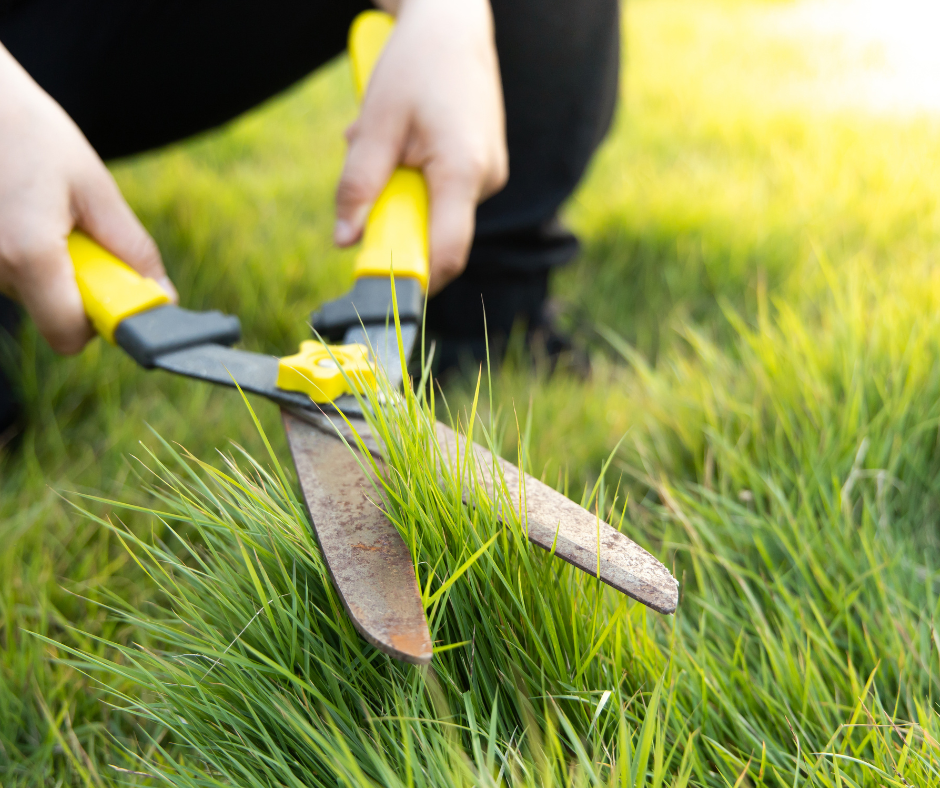 Person using a manual grass cutter in a backyard garden